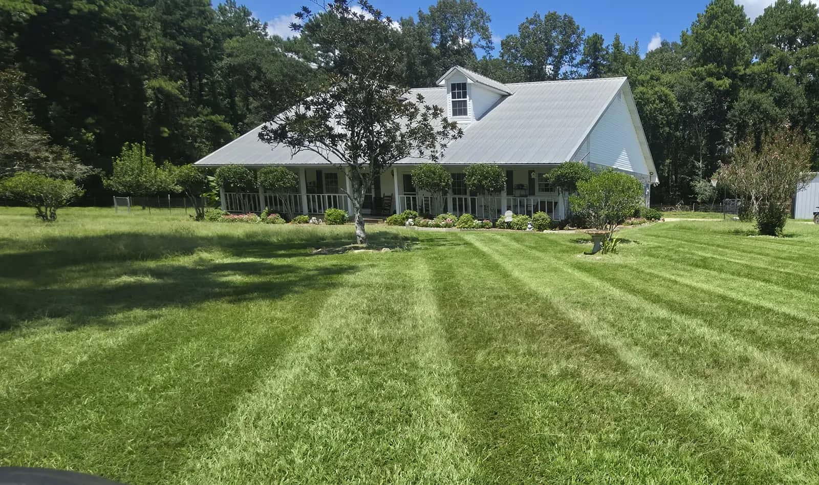 Weekly lawn mowing in Walker, LA: crisp light-and-dark stripes leading up to a white house with a metal roof.