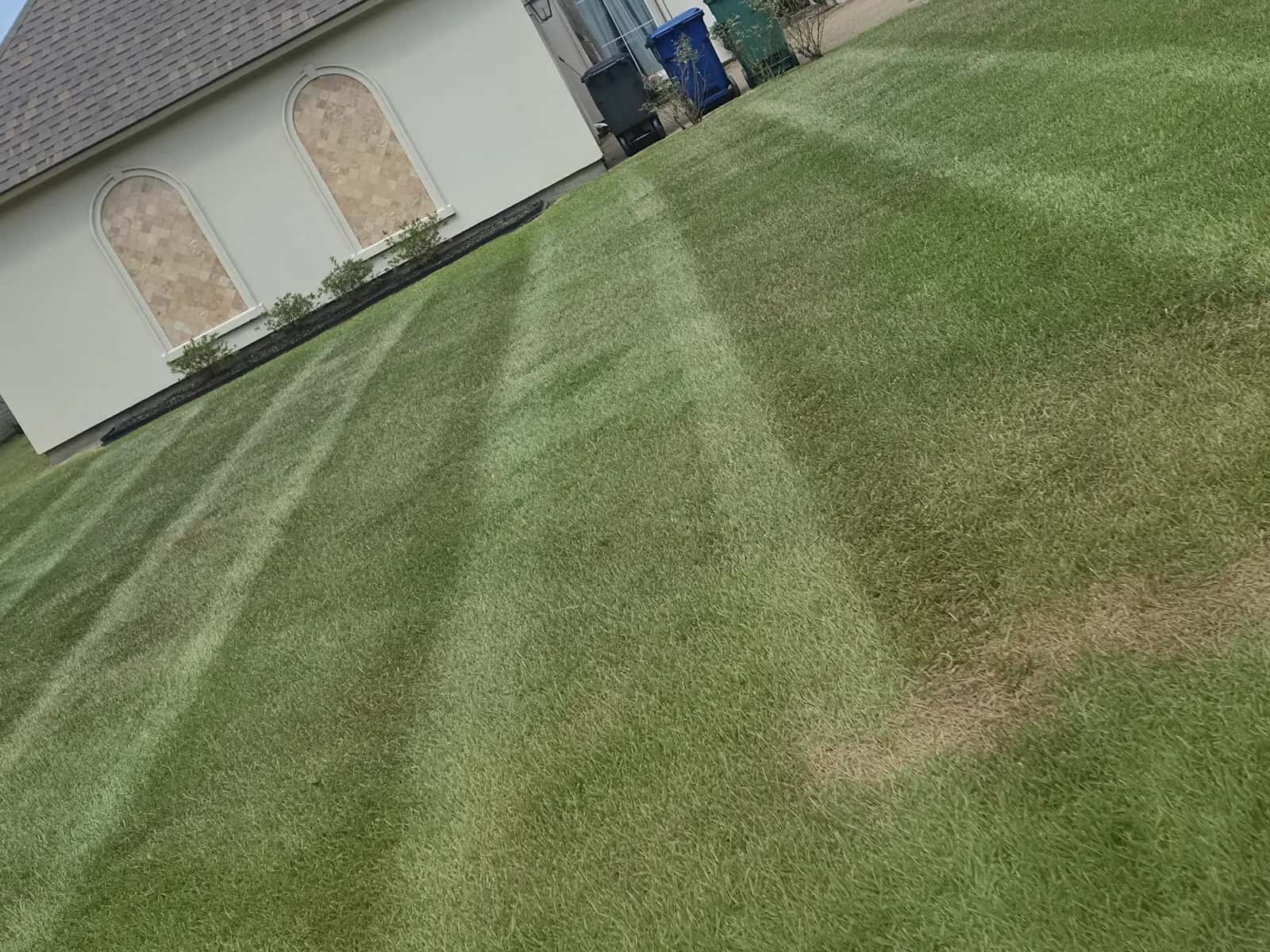Weekly lawn service in Watson, LA: fresh mowing stripes across a front lawn beside a stucco house.