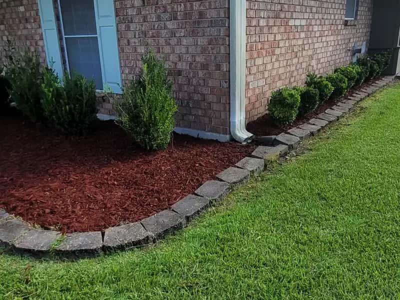 Healthy weed-free green lawn next to a mulched bed at a Denham Springs home
