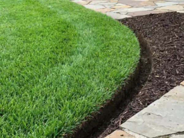 Freshly mowed green lawn with a sharp edge along a flagstone walkway in Walker, Louisiana