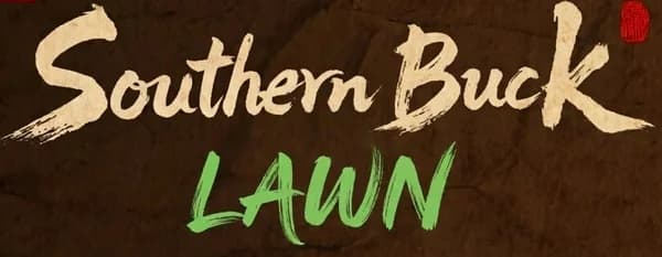 Southern Buck Lawn