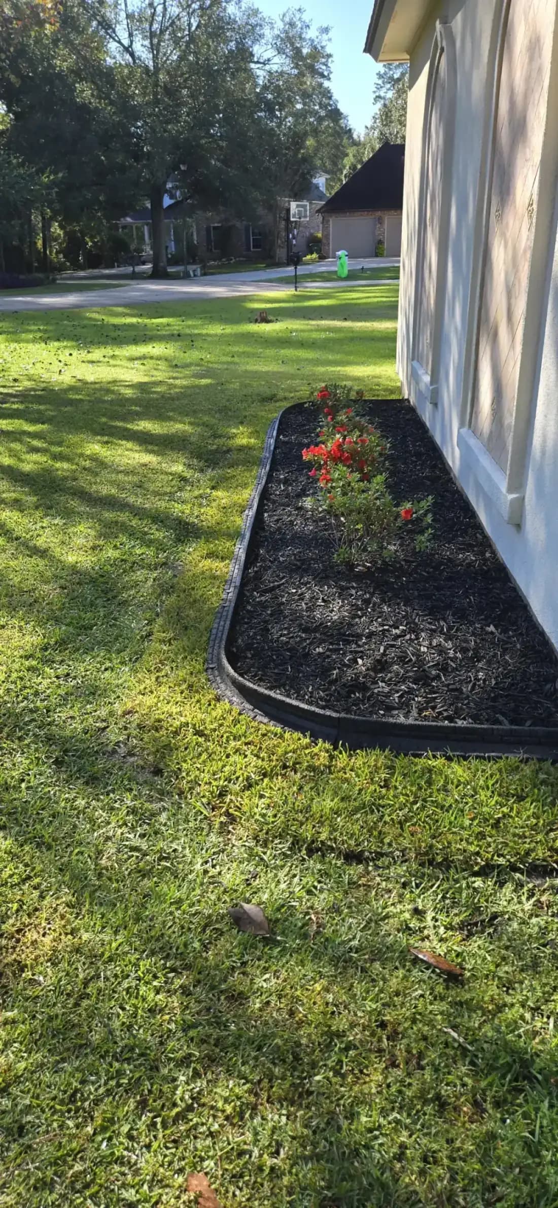 Fresh black-mulch bed with red azaleas and clean black edging along a light stucco house.