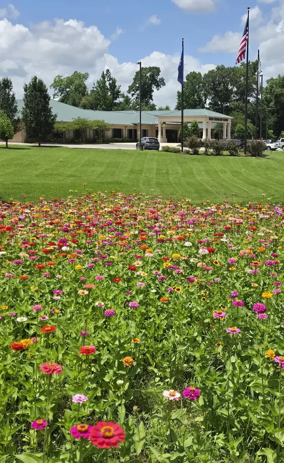 Native Louisiana wildflowers planted along corporate office perimeter in Baton Rouge