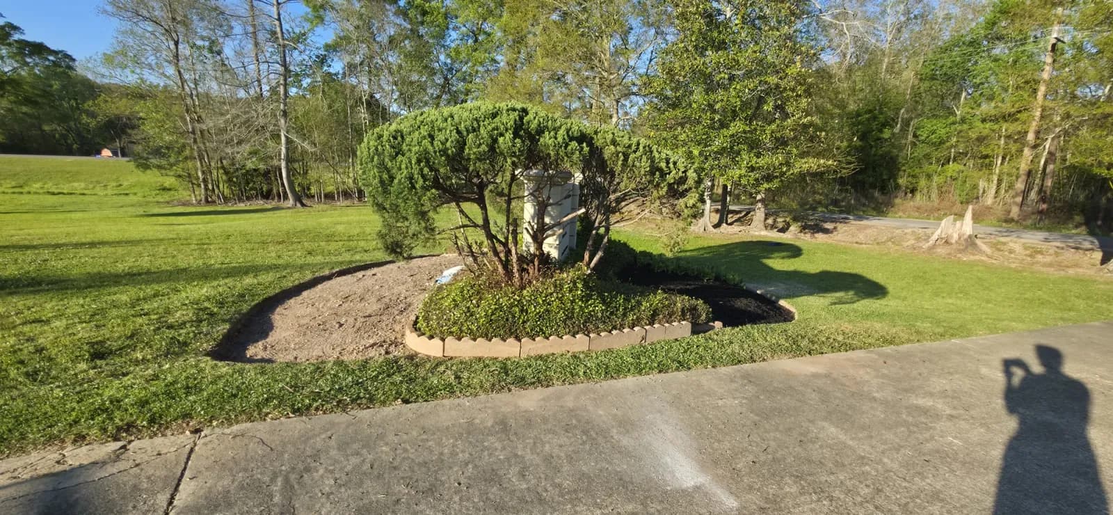 Circular commercial tree bed with scalloped edging, half bare soil and half fresh black mulch.