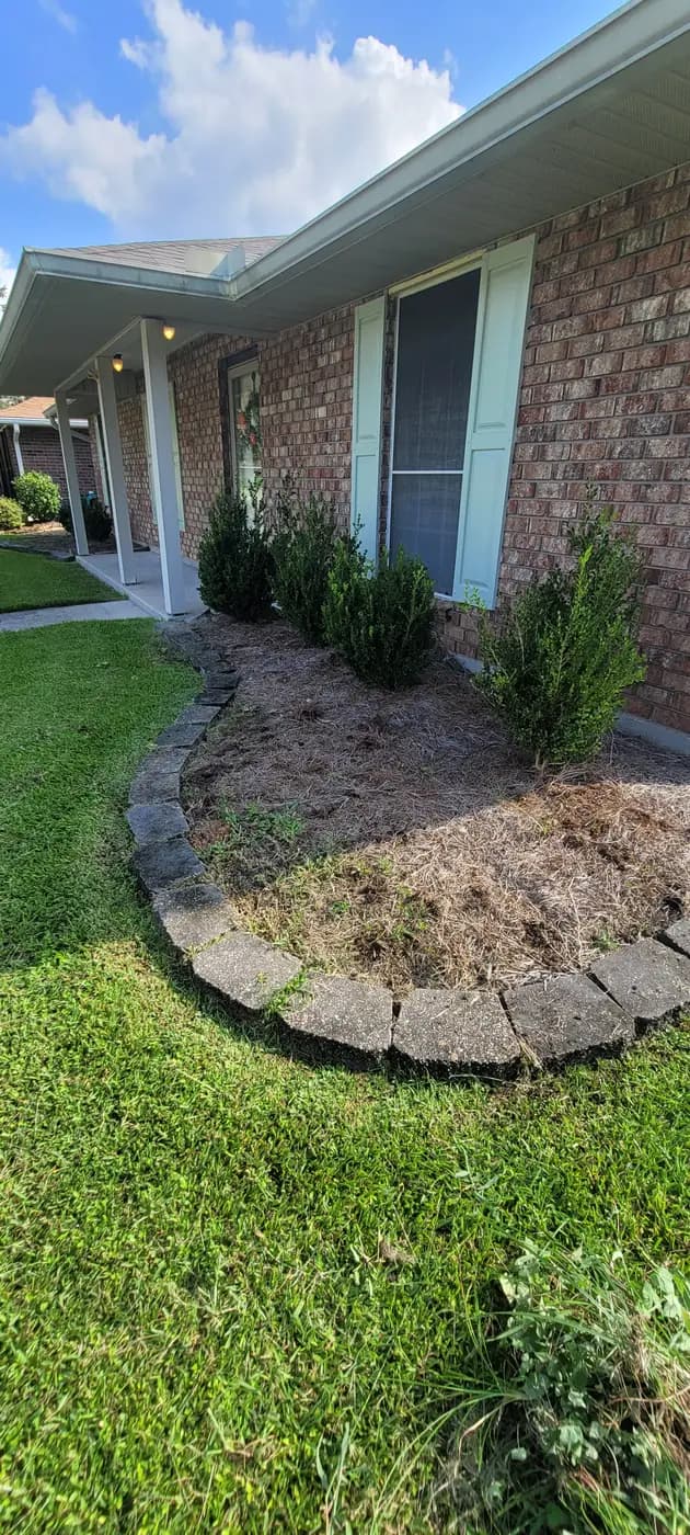 Curved Denham Springs flower bed with pine straw, boxwoods, and gray stone pavers along a brick house.