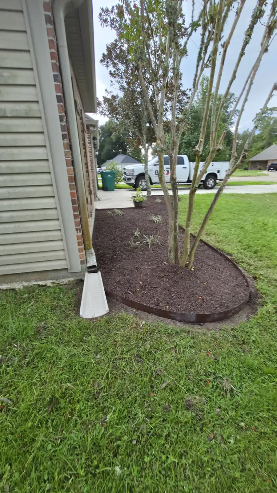 Mulched corner bed with steel edging, ornamental grasses, and a cleaned-up crape myrtle in Denham Springs, LA.