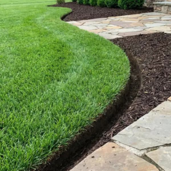 Freshly mowed green lawn with a sharp edge along a flagstone walkway in Walker, Louisiana
