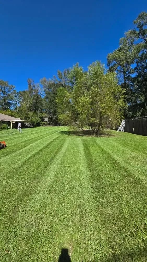 Backyard green turf lawn with crisp diagonal mowing stripes in Walker, LA