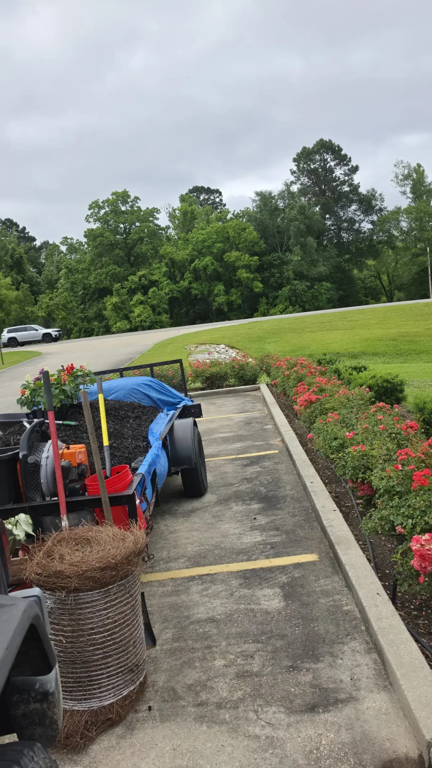 Black utility trailer loaded with black mulch and tools parked beside a commercial rose bed.