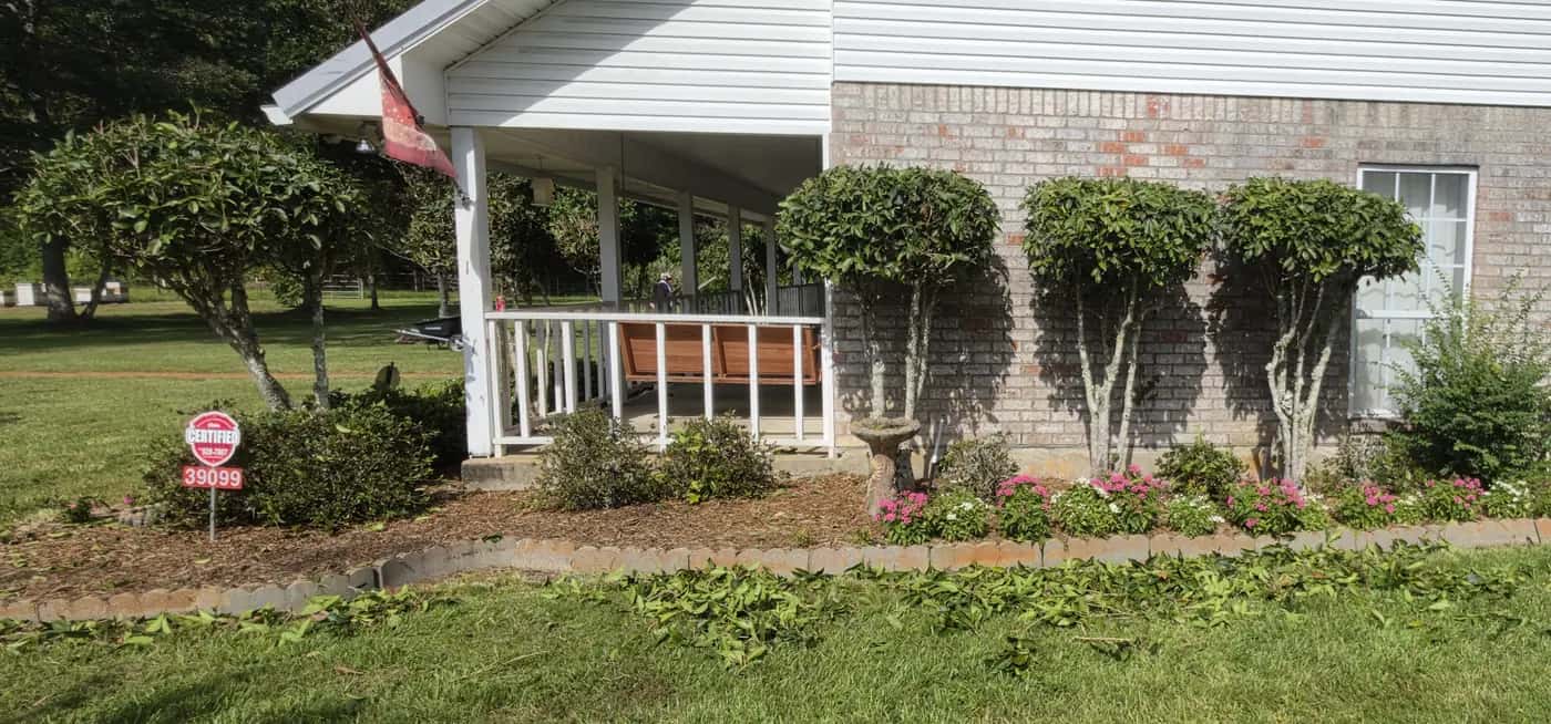 Front bed cleanup in progress in Walker, LA: freshly shaped shrubs along the porch of a brick house.