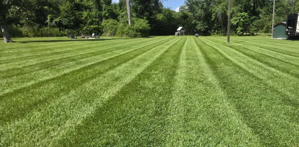 Weekly lawn mowing in Walker, LA with even light-and-dark stripes across a wide green yard.